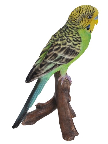 Vivid arts budgie budgerigar - vivid,