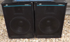 Peavey Eurosys 2 speakers