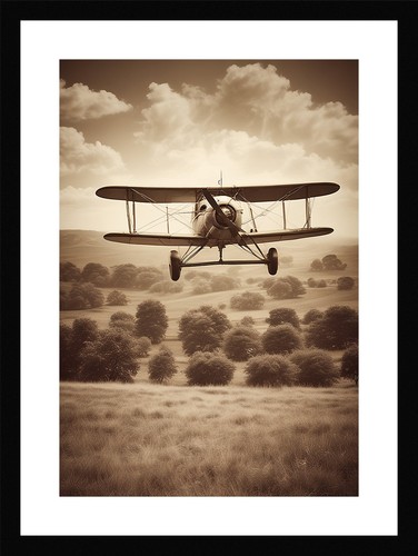 Intimate biplane framed wall - framed,