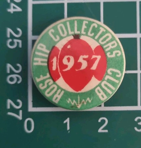 Vintage rose hip collectors - vintage,