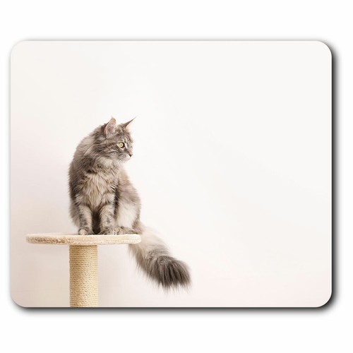 Computer mouse mat pretty - computer,