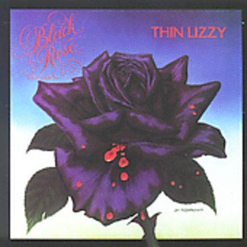 Black rose thin - black,