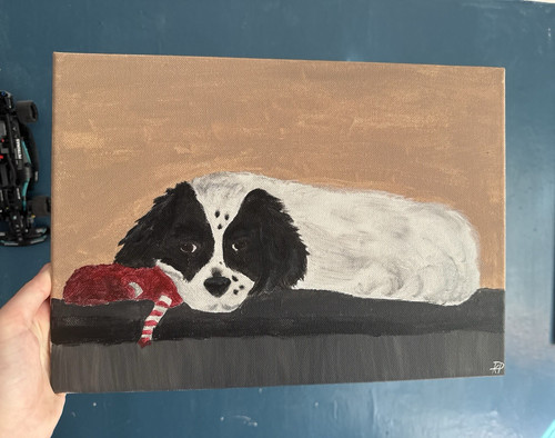 Hand painted black white dog - &,