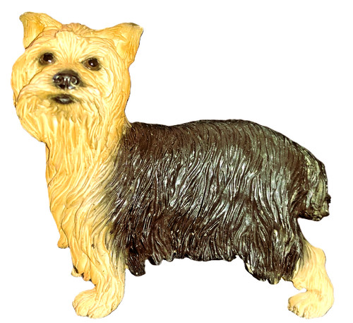 Yorkshire terrier yorkie - yorkshire,