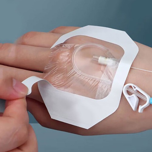 Cannula fixed transparent - iv,