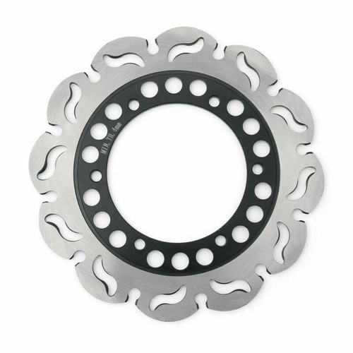 Rear brake disc rotor - rear,