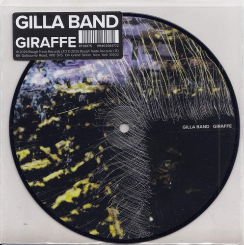 Gilla band giraffe - band,