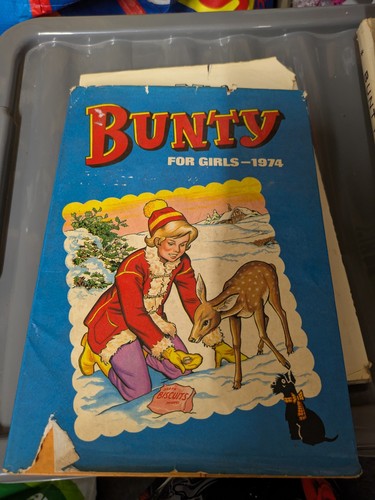 Bunty the book - book, girls