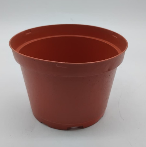 Plastic nursery pot inch - nursery,