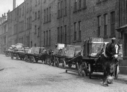 Heavy horses with their - , carts