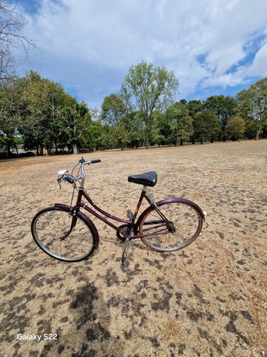 Raleigh cameo speed ladies - cameo,