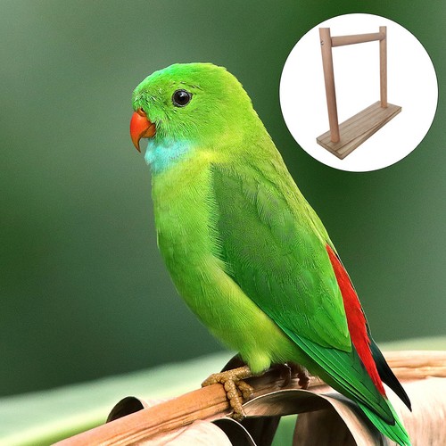 1pc bird cage perches - 1pc,