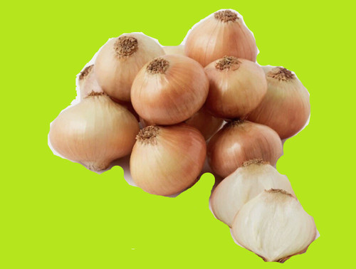 Onion sets x25 senshyu - sets,