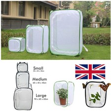 Pop net insect cage - pop,