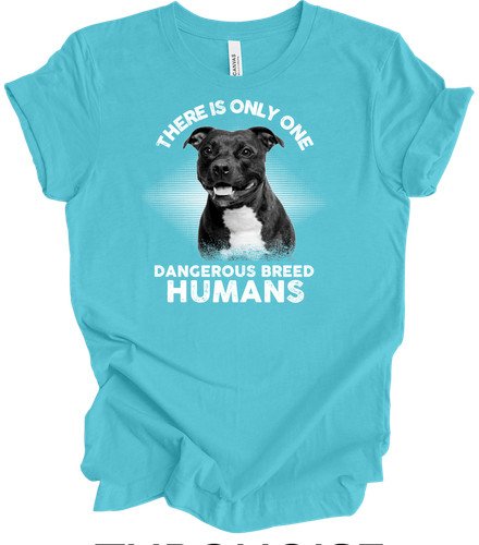 Staffordshire bull terrier - bull, dog