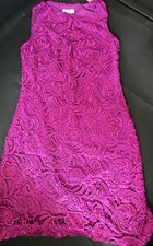 Monsoon Lace Fitted Dress With