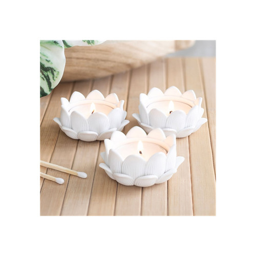 Set white lotus flower - white,