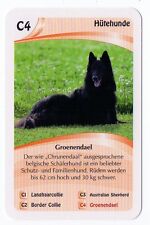 Dogs - Single German Trade Card Belgian Shepherd Sheepdog Dog Groenendael