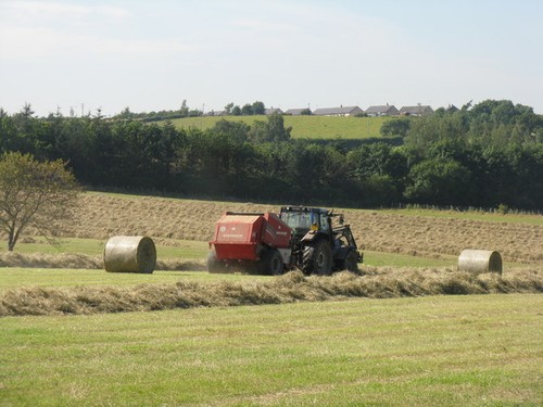 Photo making hay - a2,