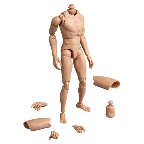 Scale male action figure - 1/6,