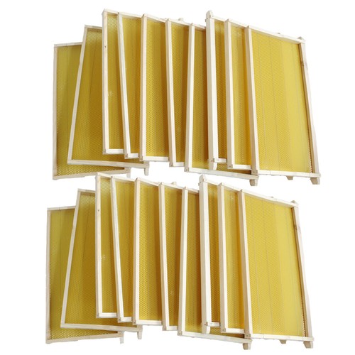 Assembled bee foundation - assembled,