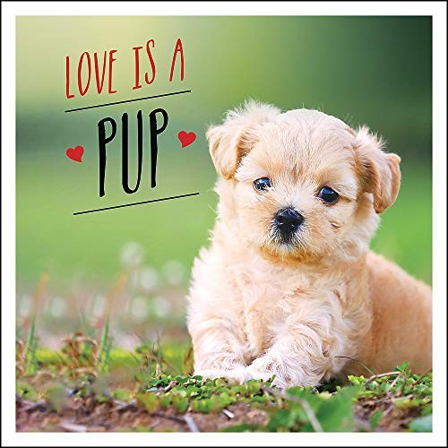 Love pup a dog tastic - pup:, dog-tastic