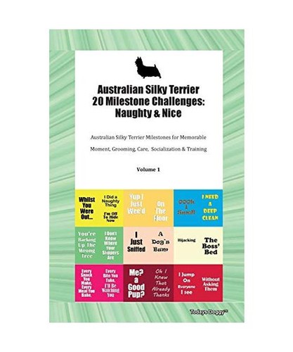 Australian silky terrier - australian,
