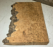 230X38X360MM LOT 638A BURR ELM