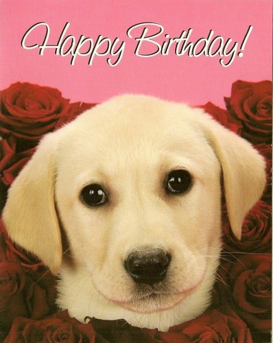 Open happy birthday - open,