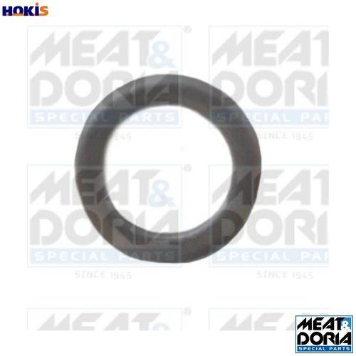Seal ring injector - ring,