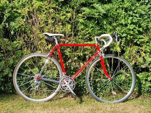 cinelli