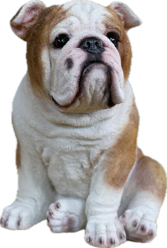 Boz the bulldog resin - boz,