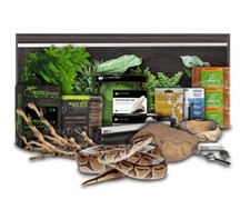Swell reptiles royal - swell, python