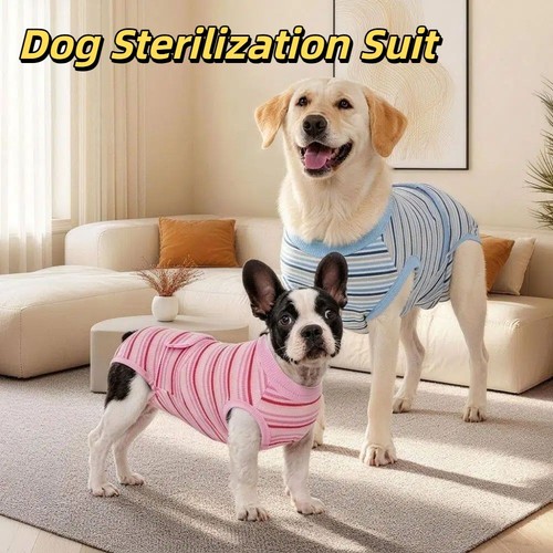 Pet pro surgery - pet,
