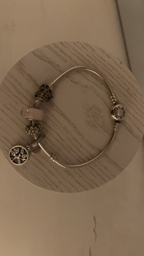 Pandora bracelet plus charms - bracelet,