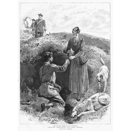 Hunting grouse shooting - grouse, the