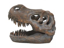 T-Rex Realistic Dinosaur Skull