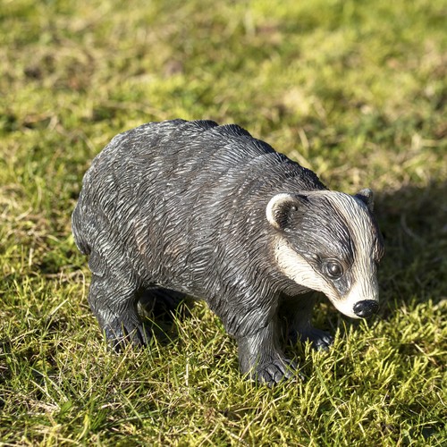 Badger cub garden - badger,