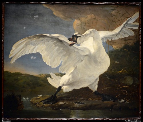 Jan asselijn the threatened - jan,