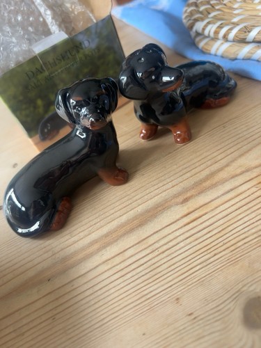 Lesser pavey dachshund - lesser, salt