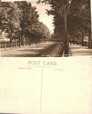 Vintage Postcard - New Road