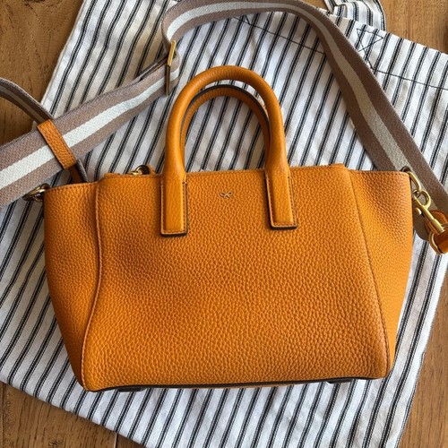 Anya hindmarch micro ebury - anya,