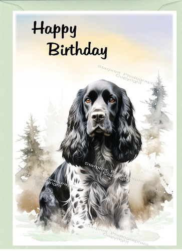 Cocker spaniel blue roan - cocker,