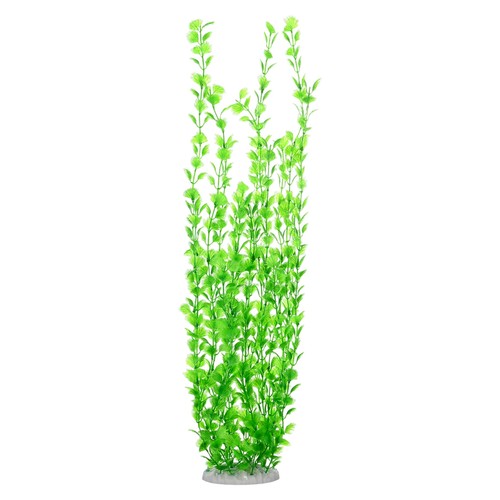 Pack tall aquarium plants - tall,