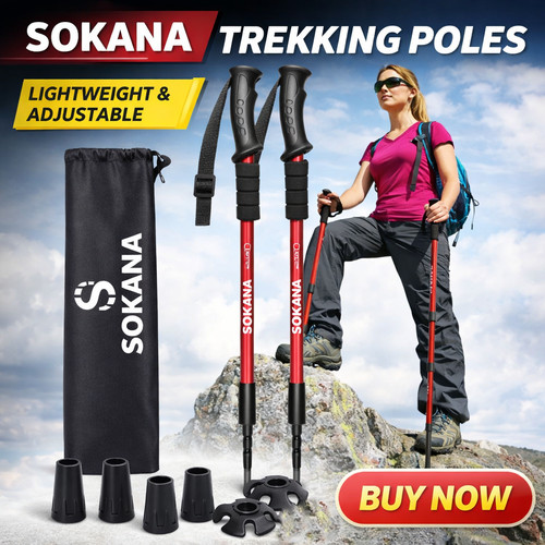 2pcs section telescopic - 2pcs,