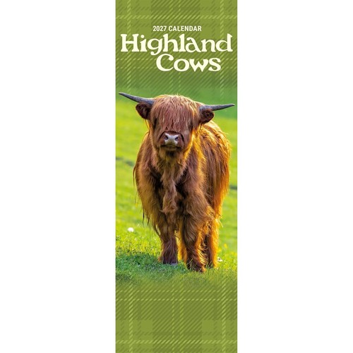 Highland cows slim calendar - cows,