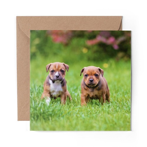 Blank greeting card - blank,
