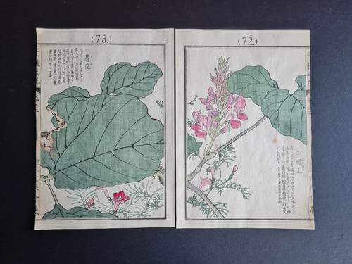 Antique 1890 japanese - antique,