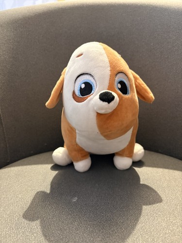 Pickles the dog - pickles,