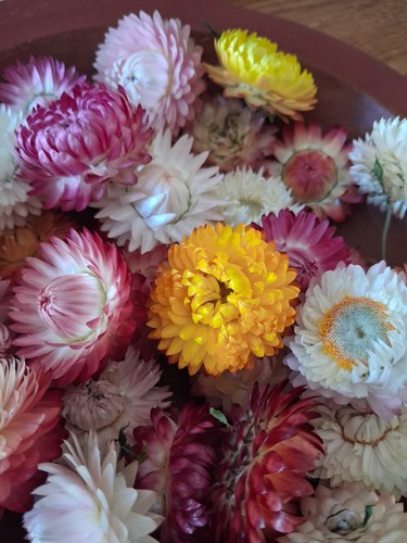 Dried flowers for - dried, craft